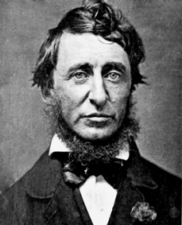 Henry David Thoreau 